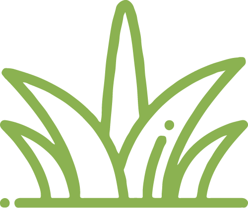 Pousaz-Entretiens-DesherbageEtTraitement